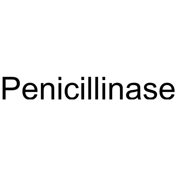 Penicillinase