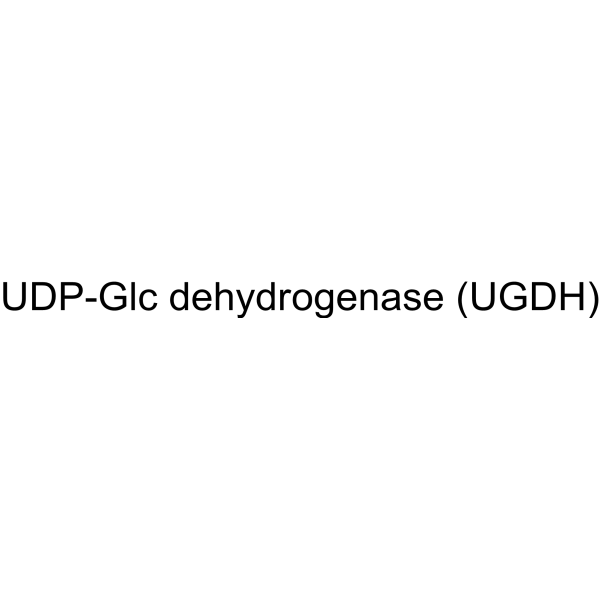 UDP-Glc dehydrogenase (UGDH)