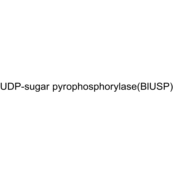 UDP-sugar pyrophosphorylase (BlUSP)