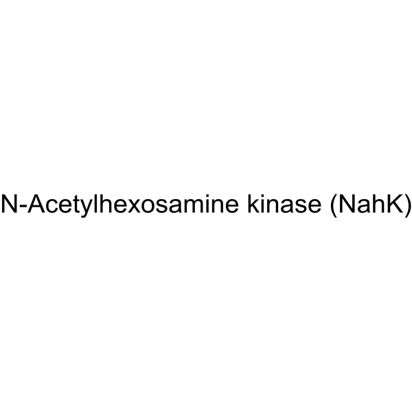 N-Acetylhexosamine kinase (NahK)