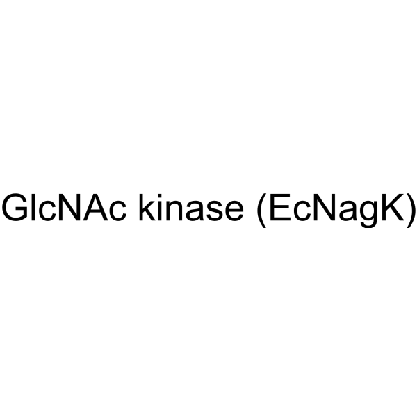 GlcNAc kinase (EcNagK)