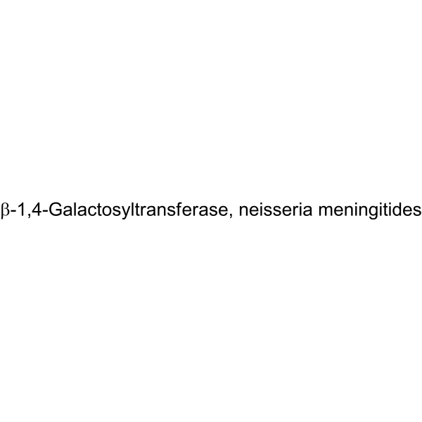 β-1,4-Galactosyltransferase, neisseria meningitides
