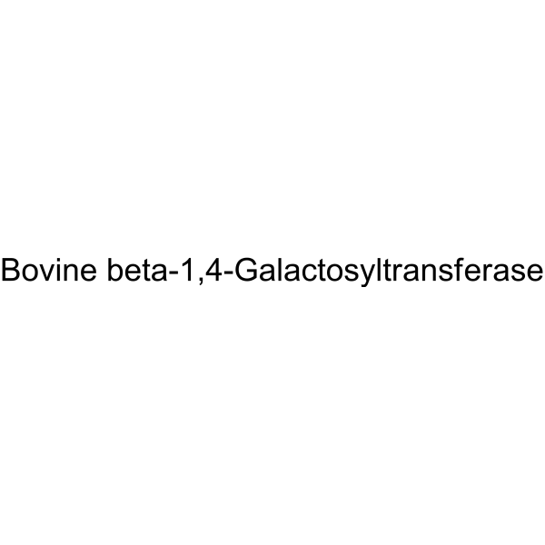 Bovine beta-1,4-Galactosyltransferase