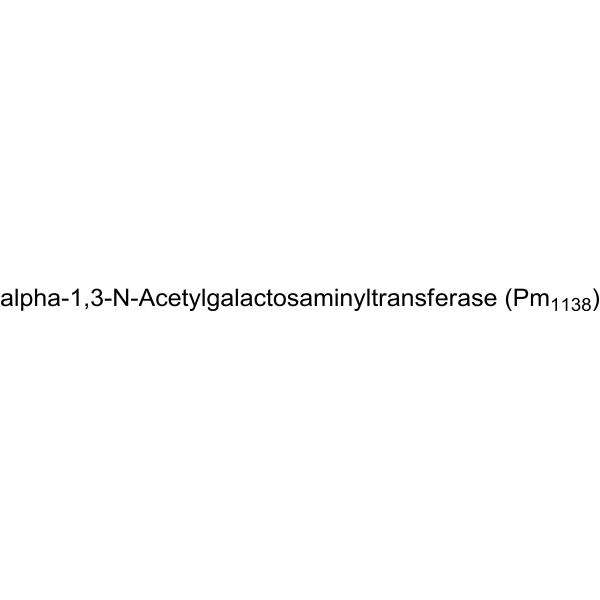 alpha-1,3-N-Acetylgalactosaminyltransferase (Pm1138)