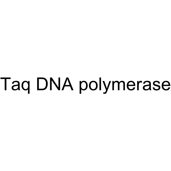 Taq DNA polymerase