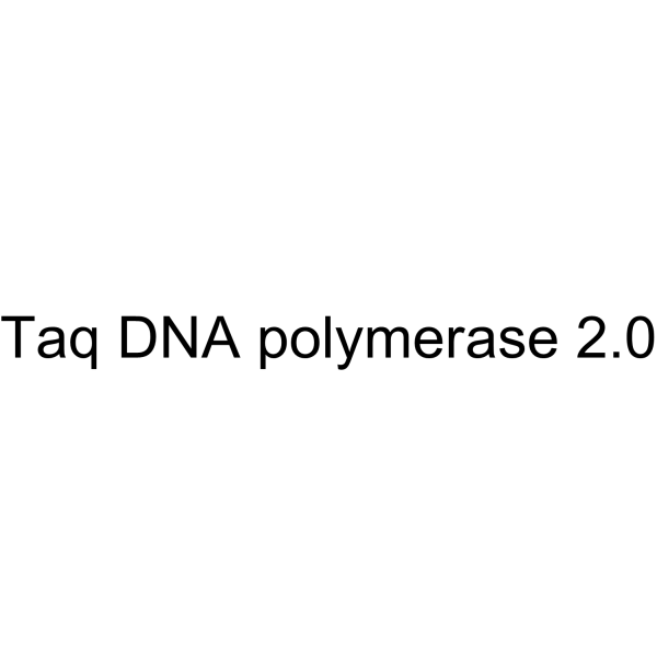 Taq DNA polymerase 2.0
