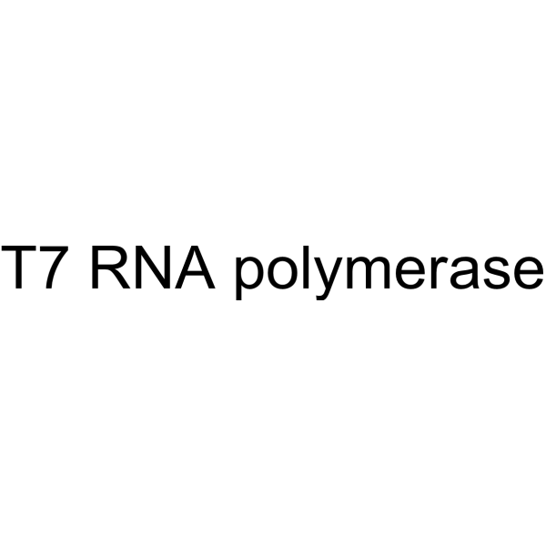 T7 RNA polymerase