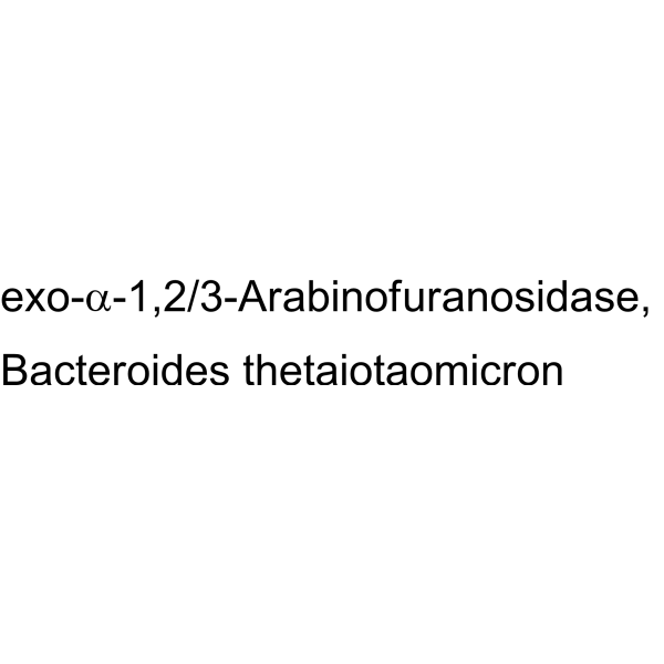 exo-α-1,2/3-Arabinofuranosidase, Bacteroides thetaiotaomicron