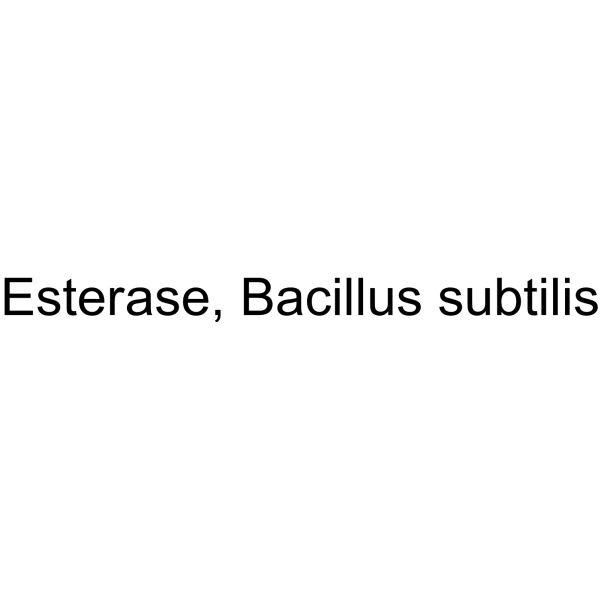 Esterase, Bacillus subtilis