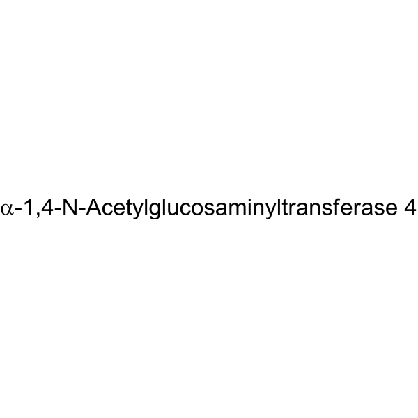 α-1,4-N-Acetylglucosaminyltransferase 4