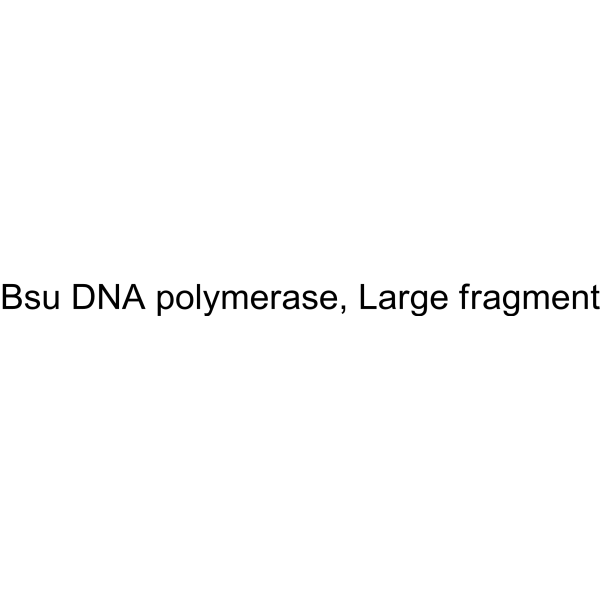 Bsu DNA polymerase, Large fragment