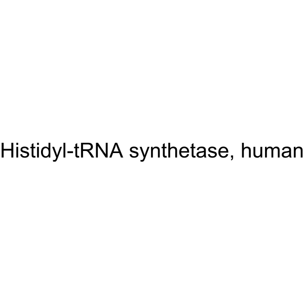 Histidyl-tRNA synthetase, human