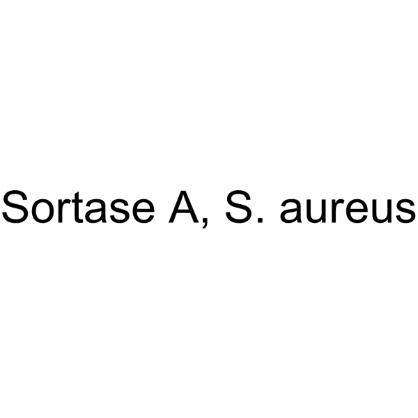Sortase A, S. aureus