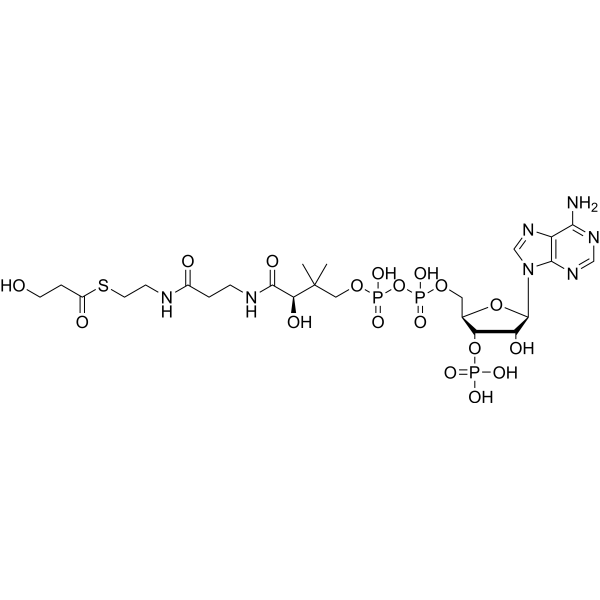 3-Hydroxypropionyl-CoA
