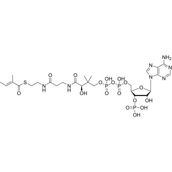 Tigloyl-CoA