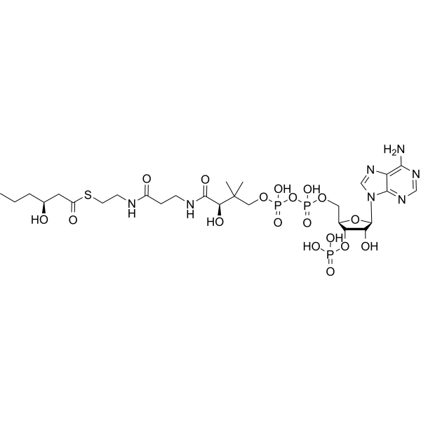 (S)-3-Hydroxyhexanoyl-CoA