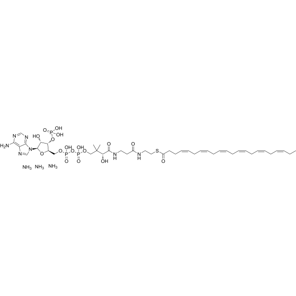 22:6 Coenzyme A