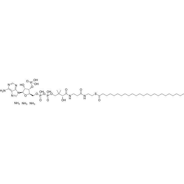 24:0 Coenzyme A