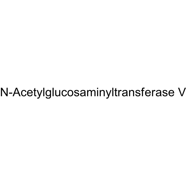 N-Acetylglucosaminyltransferase V