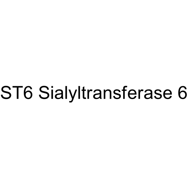 ST6 Sialyltransferase 6