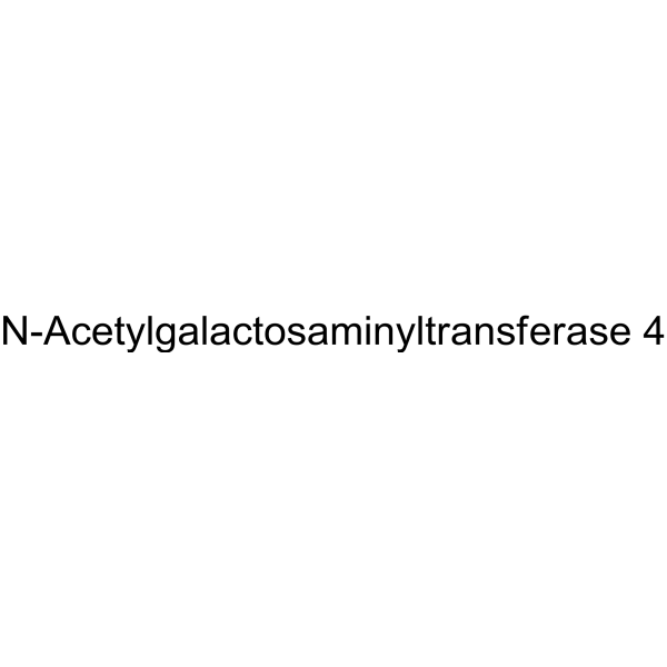 N-Acetylgalactosaminyltransferase 4