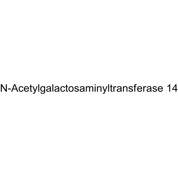 N-Acetylgalactosaminyltransferase 14