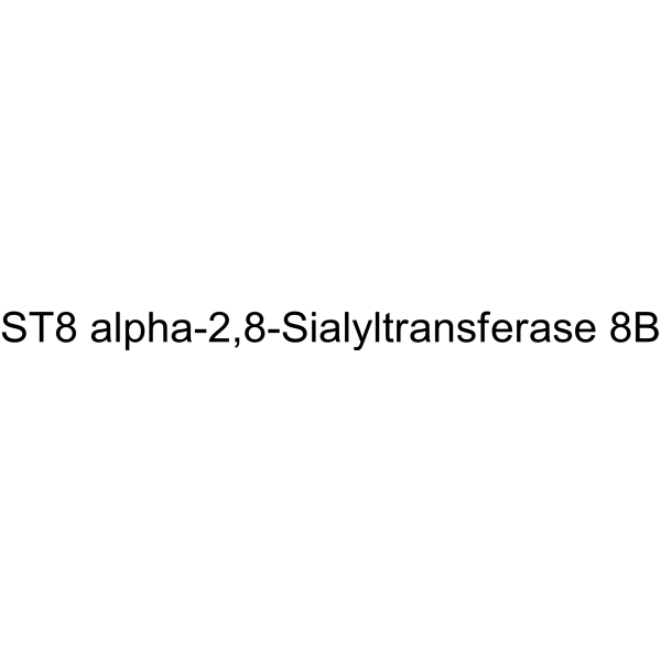 ST8 alpha-2,8-Sialyltransferase 8B