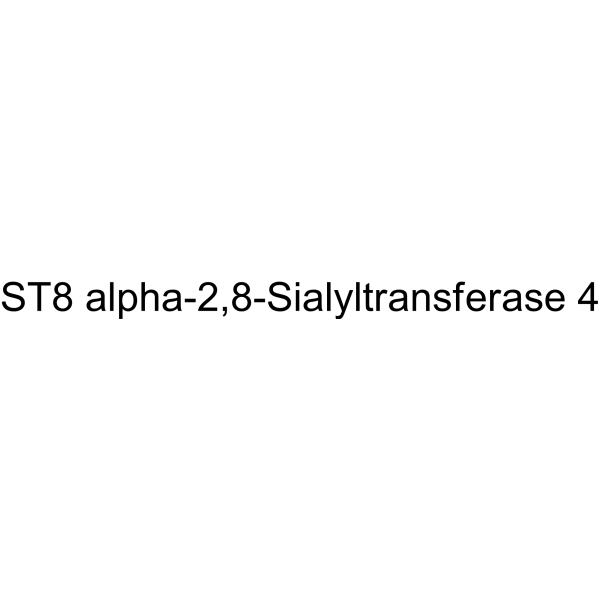 ST8 alpha-2,8-Sialyltransferase 4