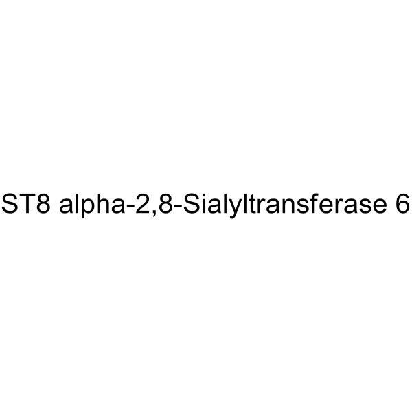 ST8 alpha-2,8-Sialyltransferase 6