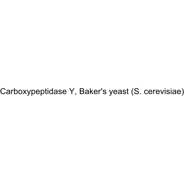 Carboxypeptidase Y, Baker's yeast (S. cerevisiae)