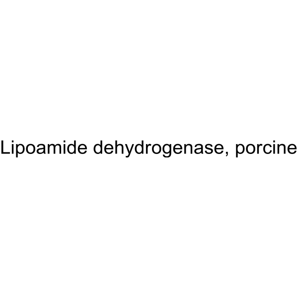 Lipoamide dehydrogenase, porcine