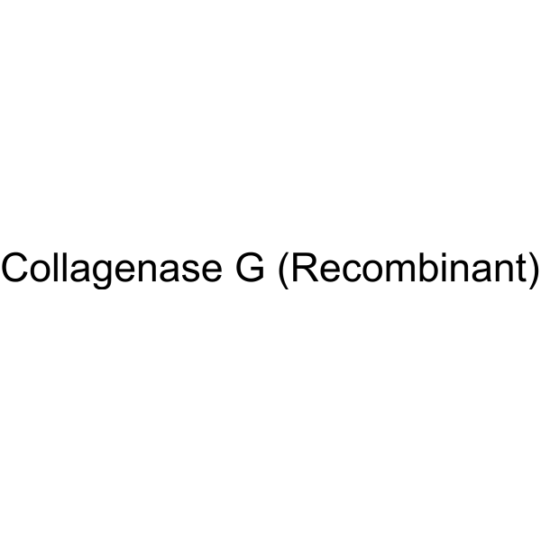 Collagenase G (Recombinant)