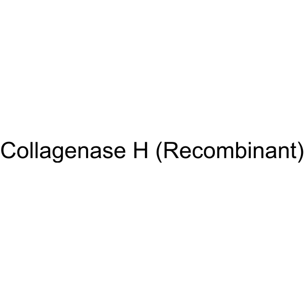 Collagenase H (Recombinant)