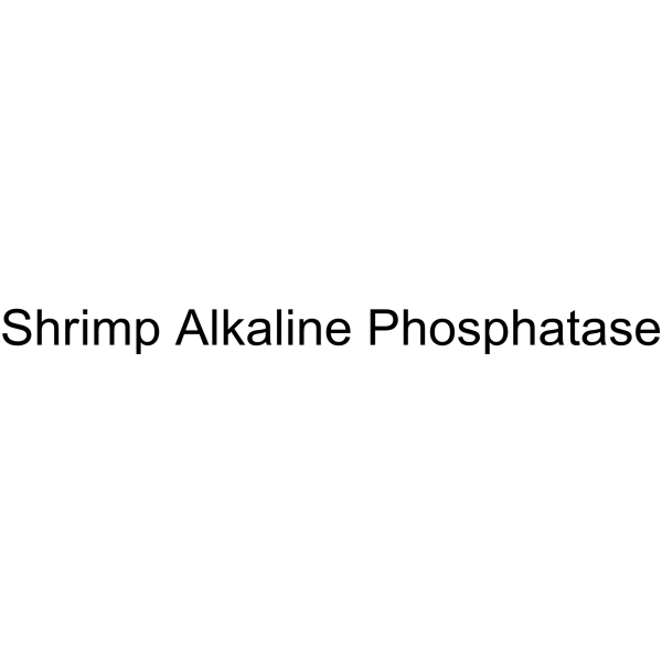 Shrimp Alkaline Phosphatase