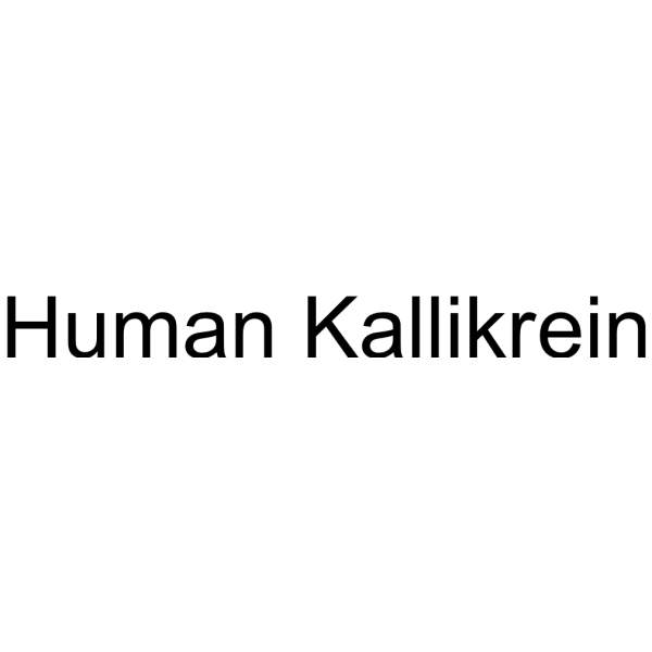 Human Kallikrein
