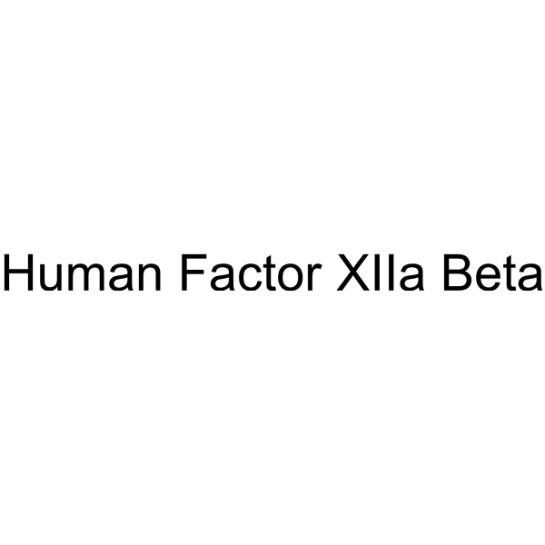 Human Factor XIIa Beta