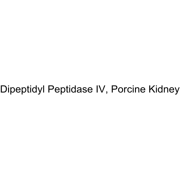 Dipeptidyl Peptidase IV, Porcine Kidney
