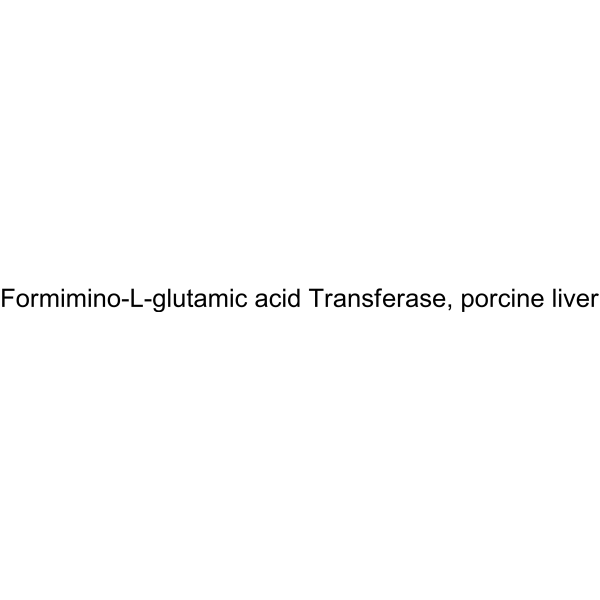 Formimino-L-glutamic acid Transferase, porcine liver