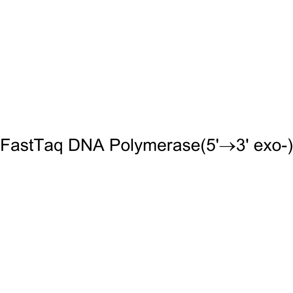 FastTaq DNA Polymerase(5'→3' exo-)