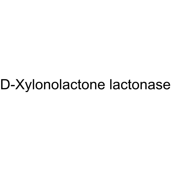 D-Xylonolactone lactonase