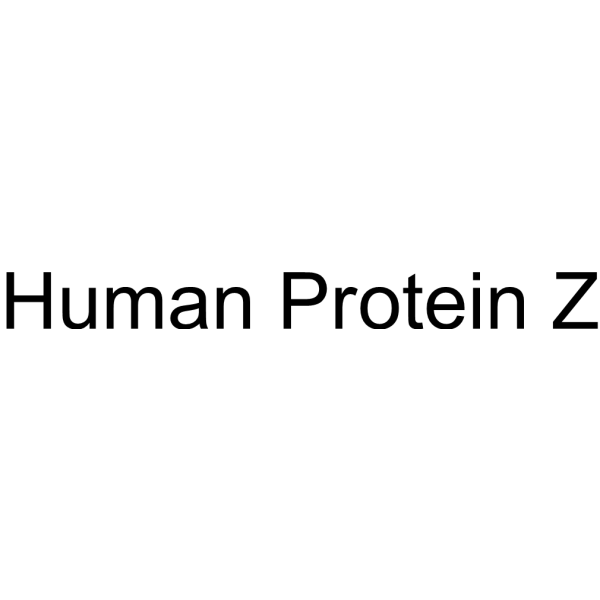 Human Protein Z
