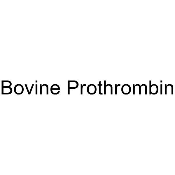 Bovine Prothrombin