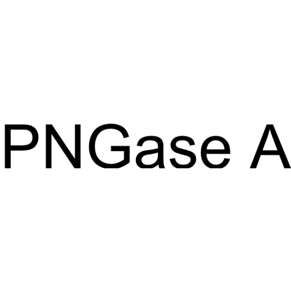 PNGase A