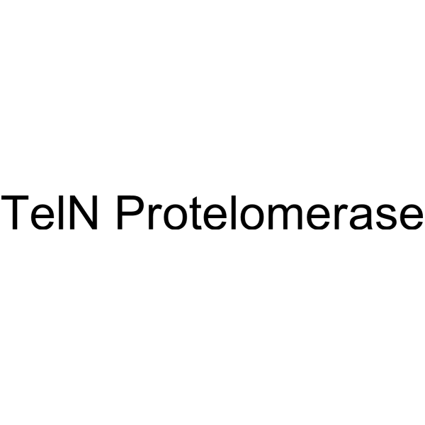 TelN Protelomerase