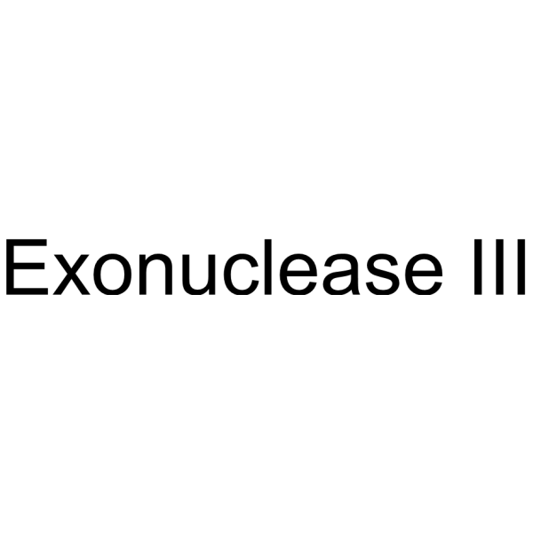Exonuclease III