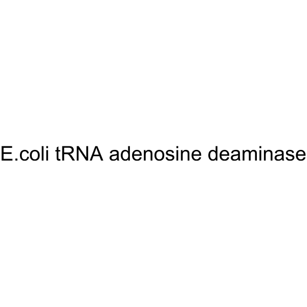 E.coli tRNA adenosine deaminase