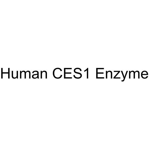 Human CES1 Enzyme