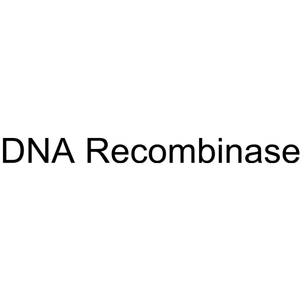 DNA Recombinase