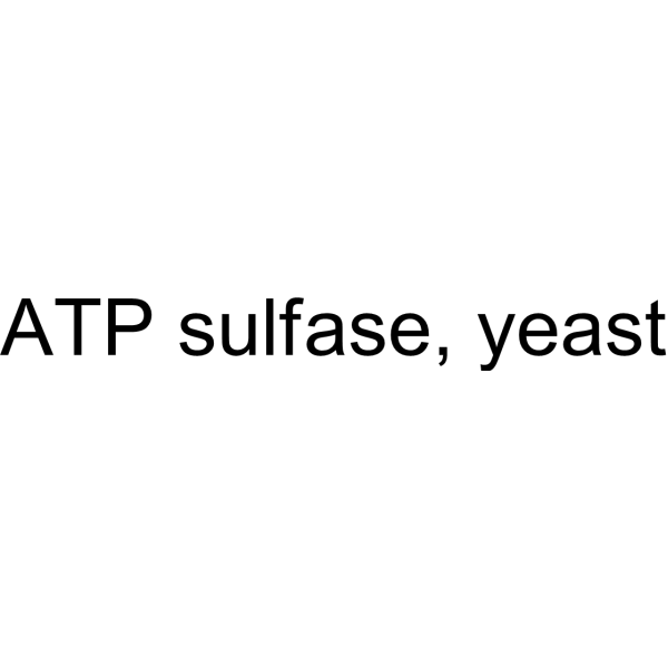 ATP sulfase, yeast