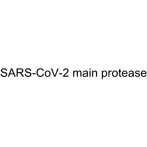 SARS-CoV-2 main protease